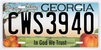 GA license plate CWS3940