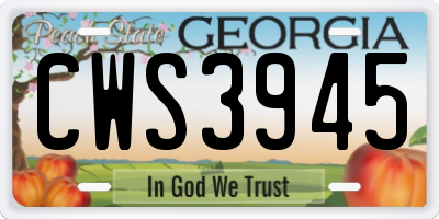 GA license plate CWS3945