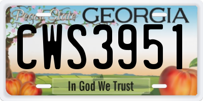 GA license plate CWS3951