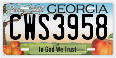 GA license plate CWS3958