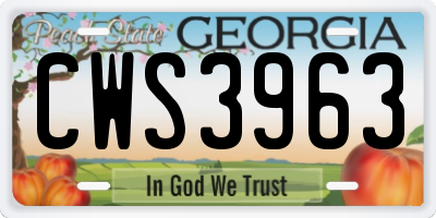 GA license plate CWS3963