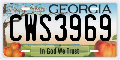 GA license plate CWS3969
