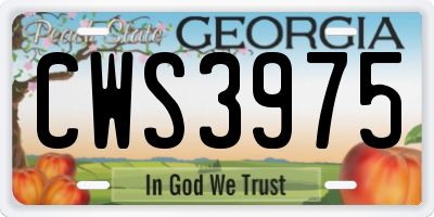 GA license plate CWS3975