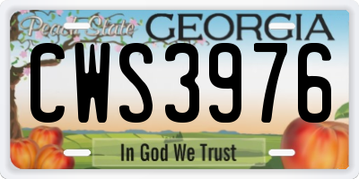 GA license plate CWS3976