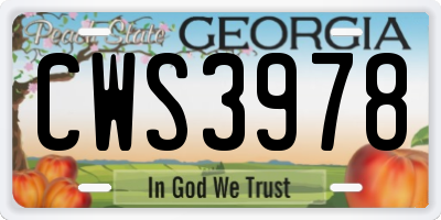 GA license plate CWS3978