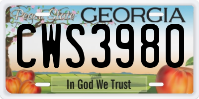 GA license plate CWS3980
