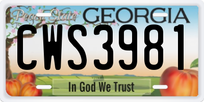 GA license plate CWS3981