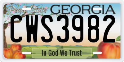 GA license plate CWS3982