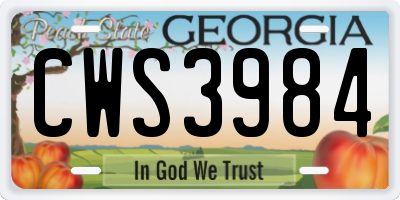 GA license plate CWS3984
