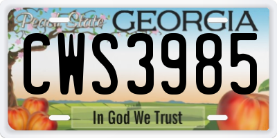 GA license plate CWS3985