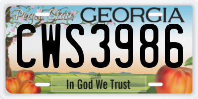 GA license plate CWS3986