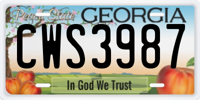 GA license plate CWS3987
