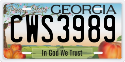 GA license plate CWS3989