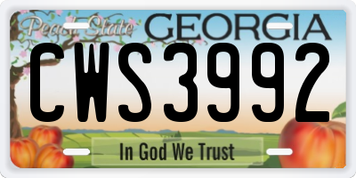 GA license plate CWS3992