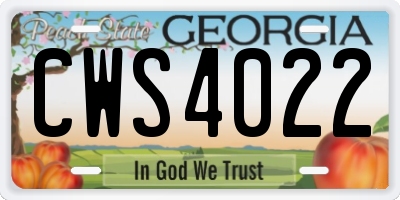 GA license plate CWS4022