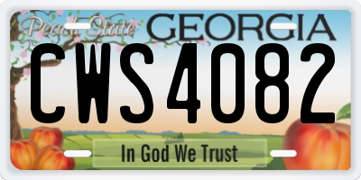 GA license plate CWS4082