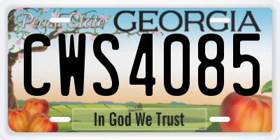 GA license plate CWS4085