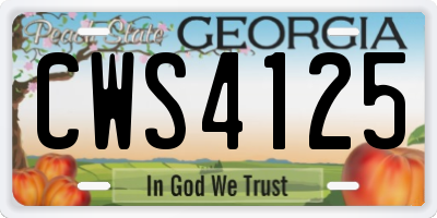 GA license plate CWS4125