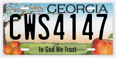 GA license plate CWS4147