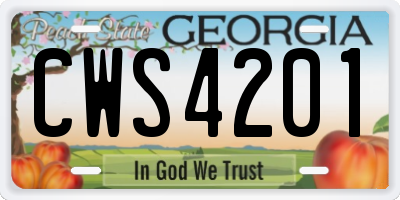 GA license plate CWS4201