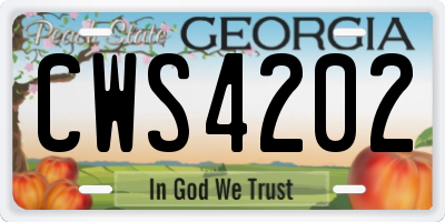 GA license plate CWS4202