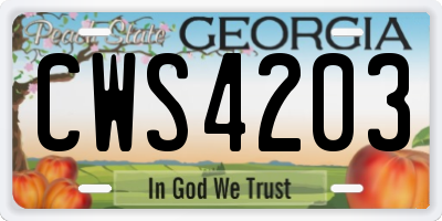GA license plate CWS4203