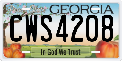 GA license plate CWS4208