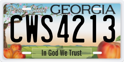 GA license plate CWS4213