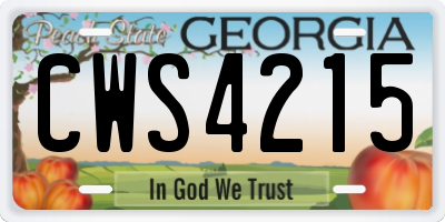 GA license plate CWS4215