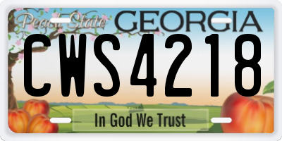 GA license plate CWS4218