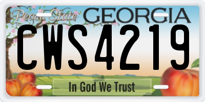 GA license plate CWS4219