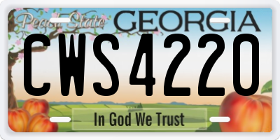 GA license plate CWS4220