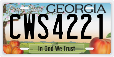 GA license plate CWS4221