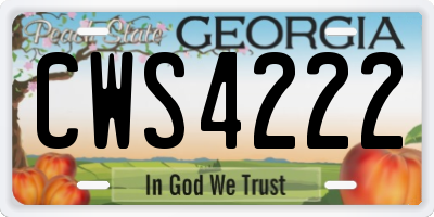 GA license plate CWS4222