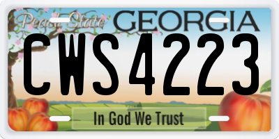 GA license plate CWS4223