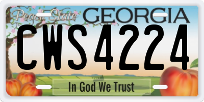 GA license plate CWS4224