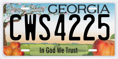 GA license plate CWS4225