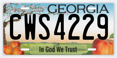 GA license plate CWS4229