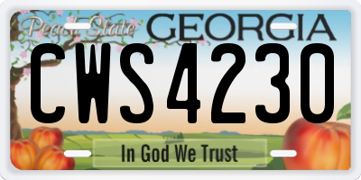 GA license plate CWS4230