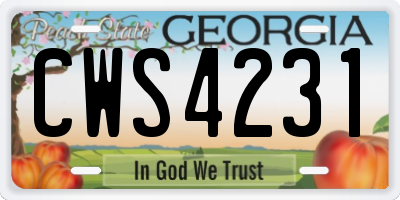 GA license plate CWS4231