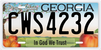 GA license plate CWS4232