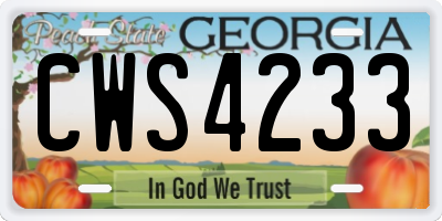 GA license plate CWS4233