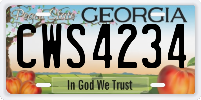 GA license plate CWS4234