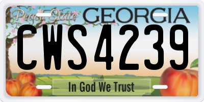 GA license plate CWS4239