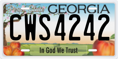 GA license plate CWS4242