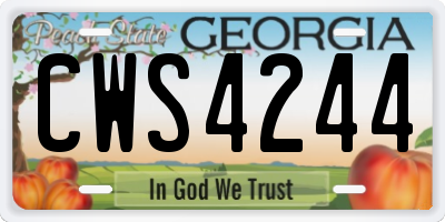 GA license plate CWS4244