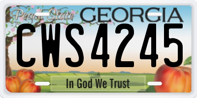 GA license plate CWS4245
