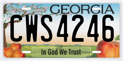 GA license plate CWS4246