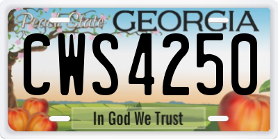 GA license plate CWS4250