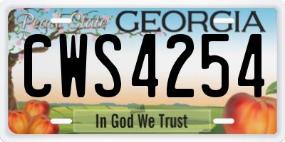 GA license plate CWS4254
